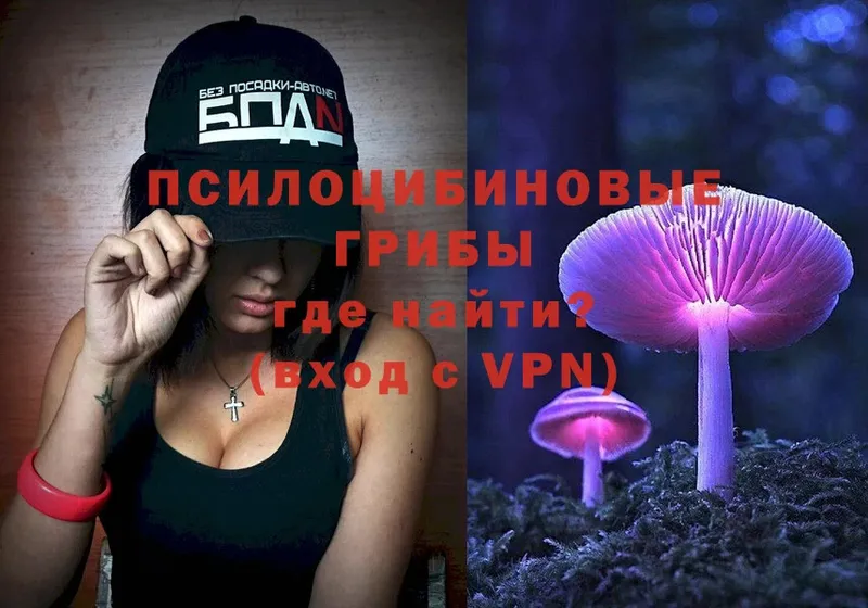 Галлюциногенные грибы Cubensis  Бобров 